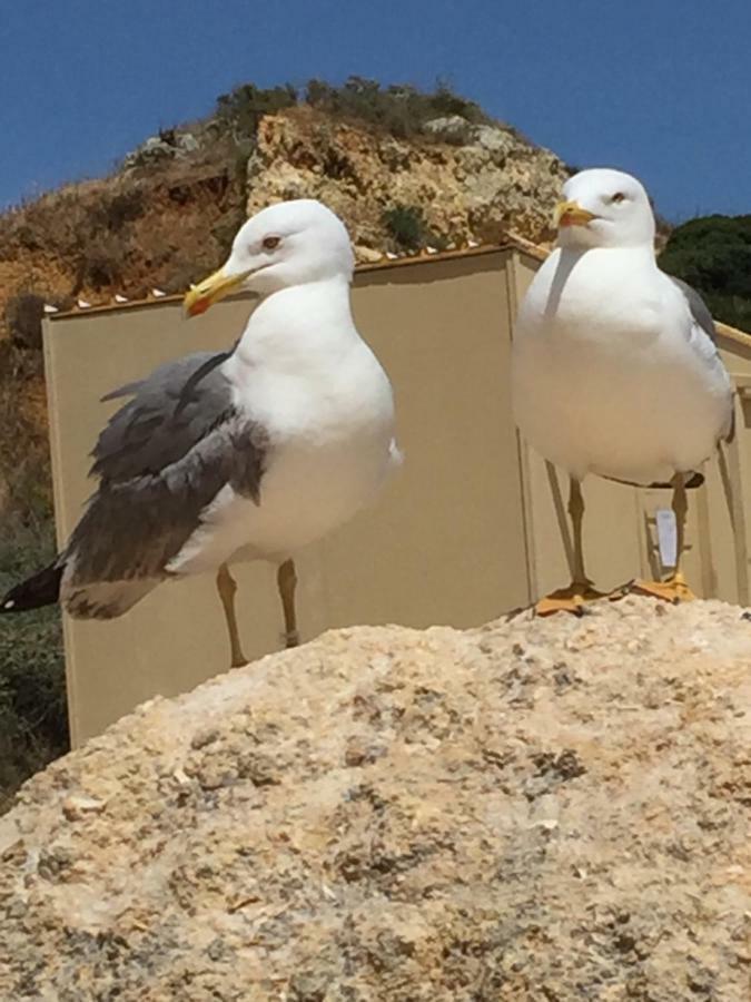 Apartment In Algarve,วิลาโมรา ภายนอก รูปภาพ